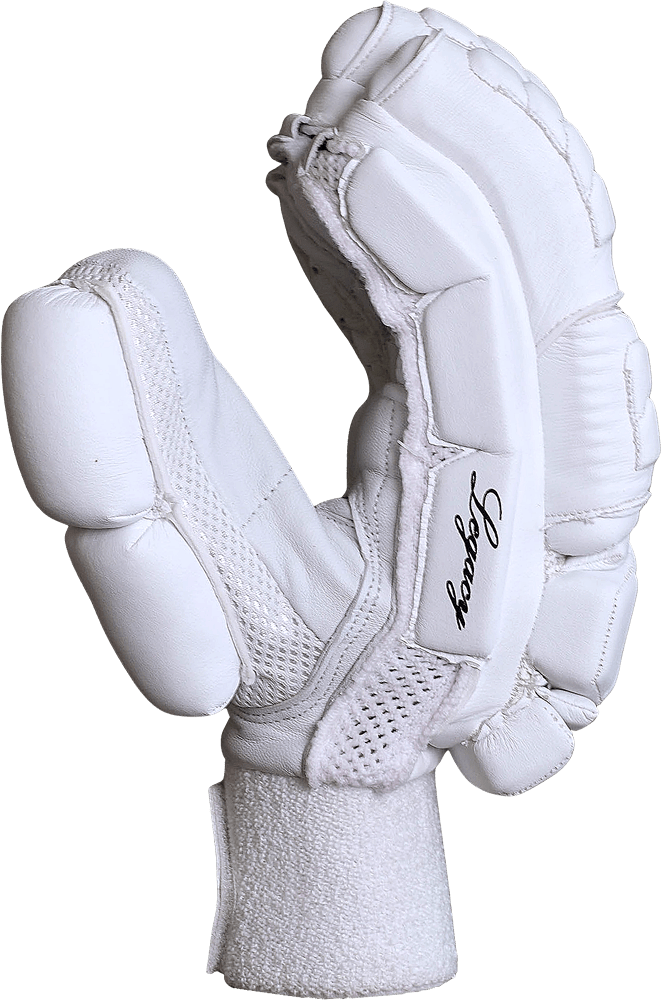 SB Legacy Cricket Batting Gloves