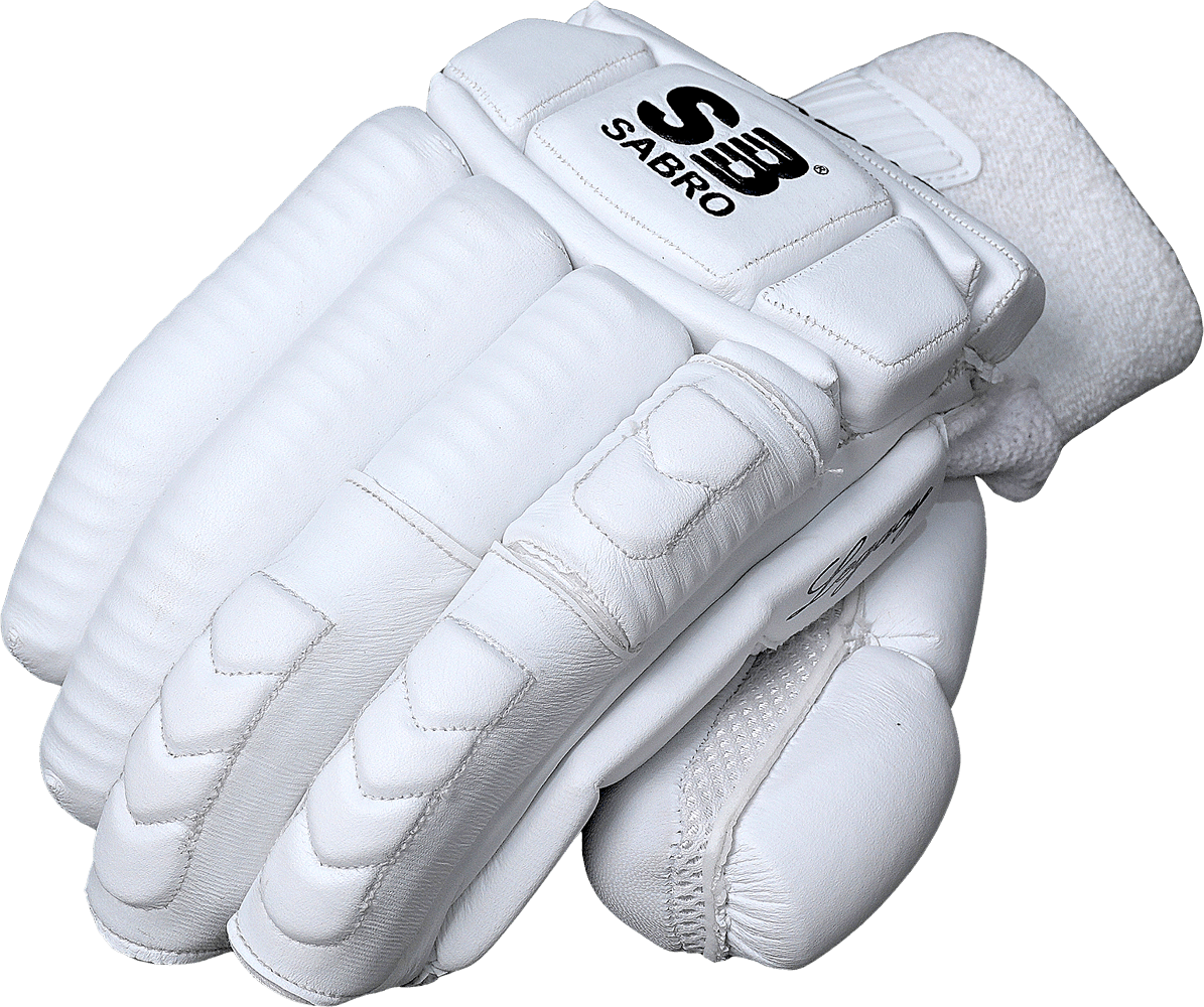sb legacy cricket batting gloves