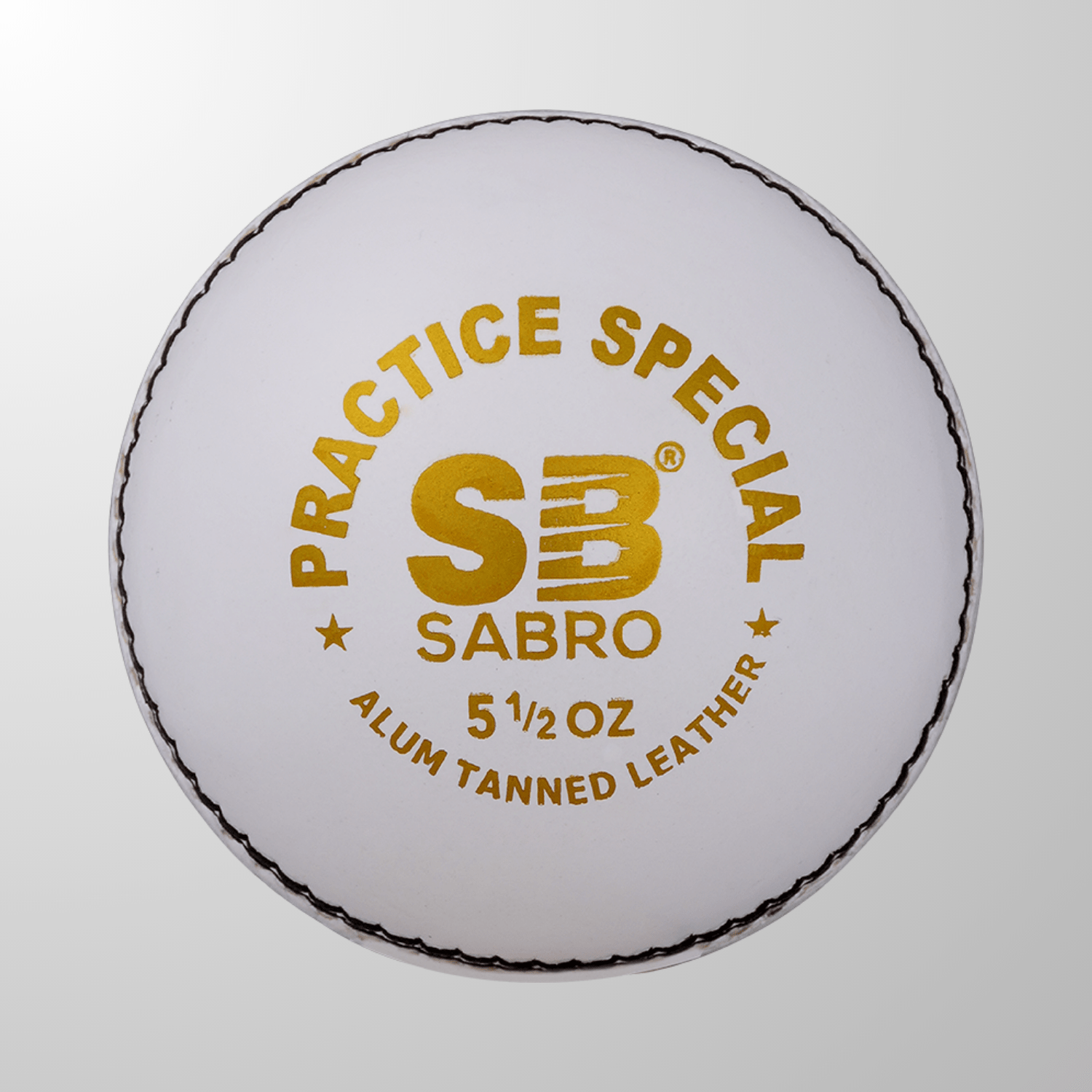 Practice Special Leather Cricket Ball