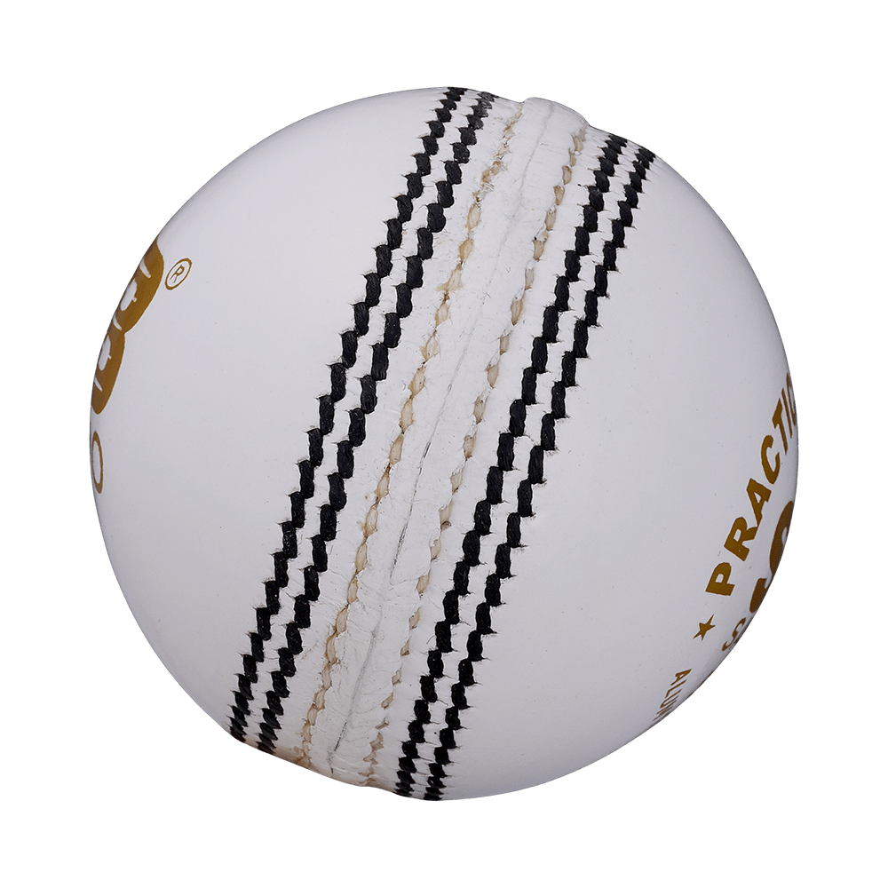 Practice Special Leather Cricket Ball