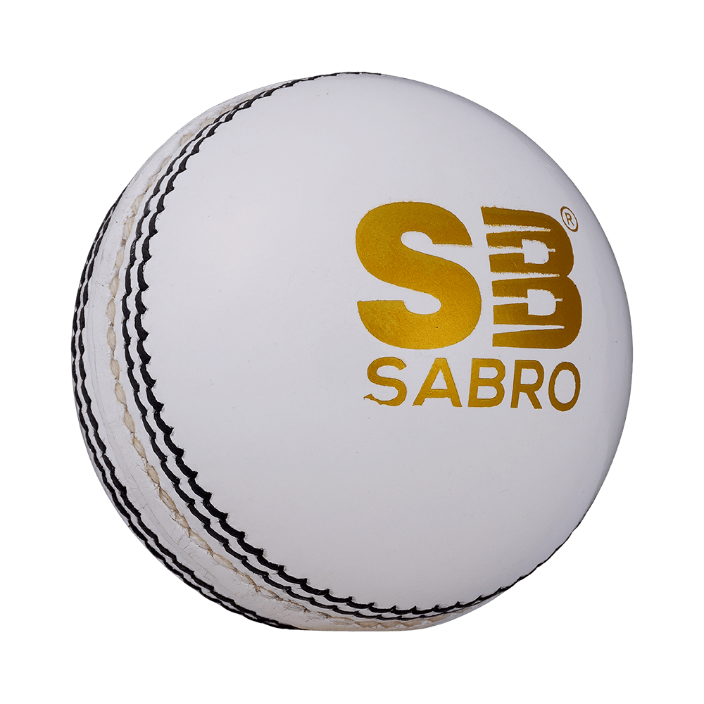 Practice Special Leather Cricket Ball