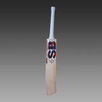sb-cruize-500-english willow bat