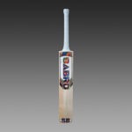 sb-cruize-500-english willow bat