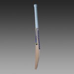 sb-rapid-pro-english willow cricket bat