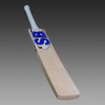 sb-rapid-pro-english willow cricket bat