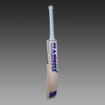 sb-rapid-pro-english willow cricket bat