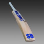 sb-rapid-pro-english willow cricket bat