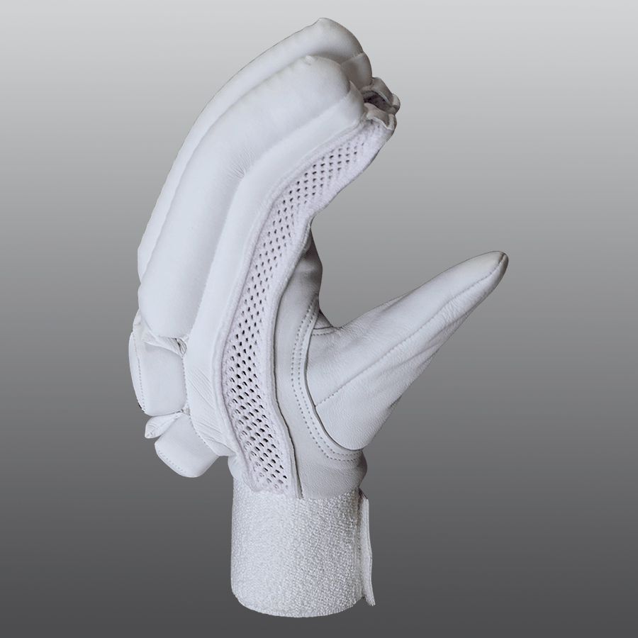Players Batting Gloves