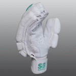 Players Batting Gloves