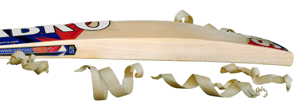 sb turf master english willow cricket bat